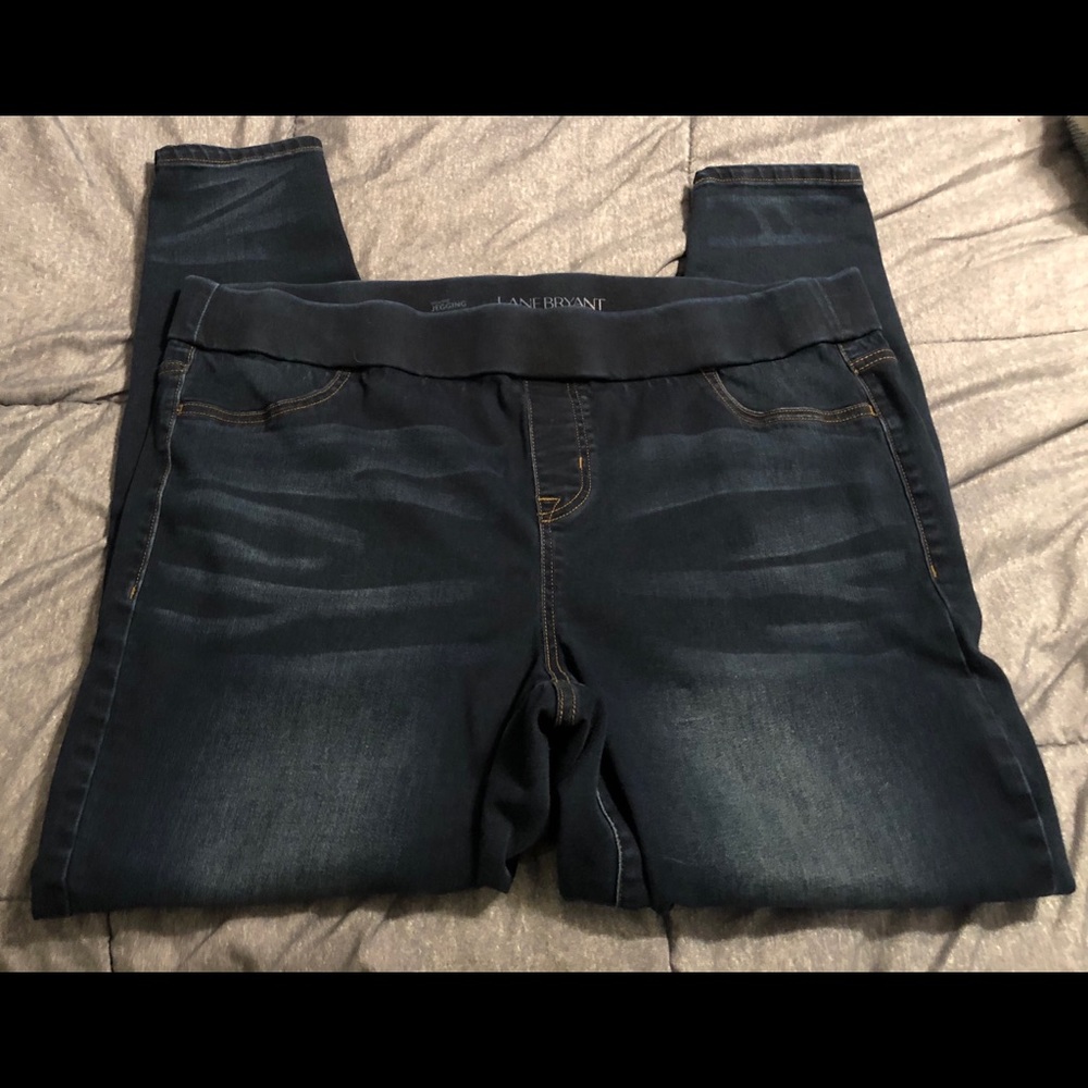 Lane Bryant High Rise Jeggings